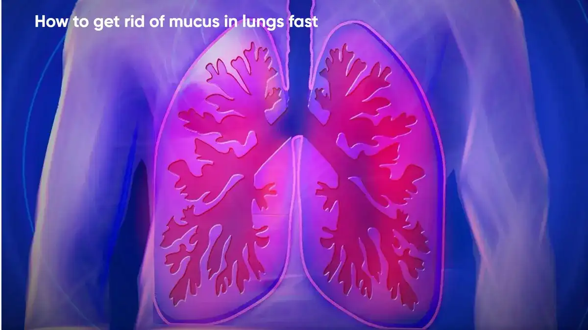 How to get rid of mucus in lungs fast